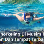Snorkeling di Musim Tropis