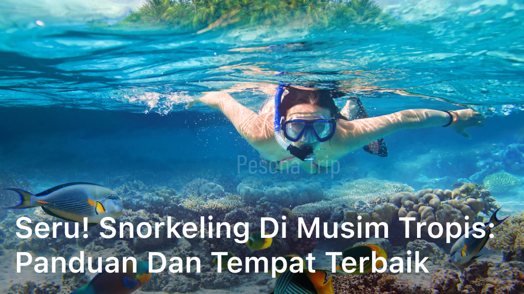Snorkeling di Musim Tropis