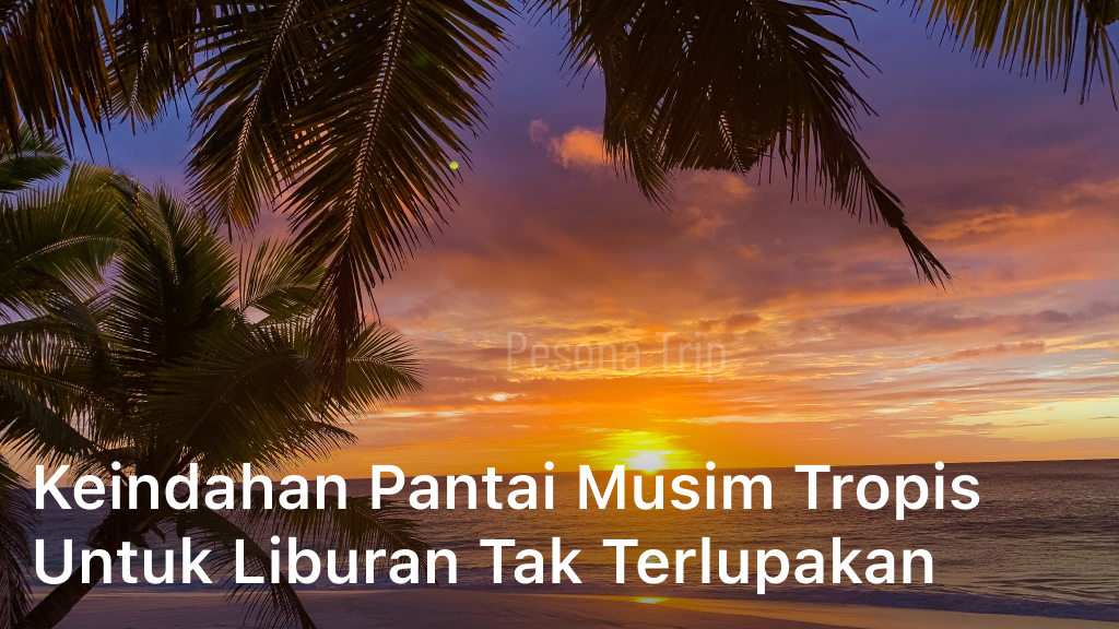 Wisata Pantai Musim Tropis