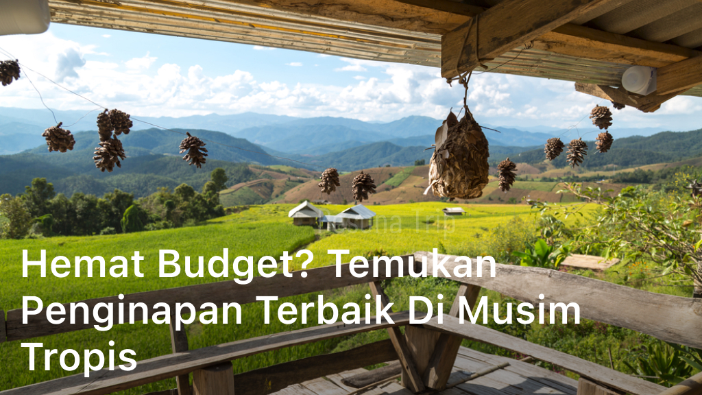 Penginapan Terbaik di Musim Tropis