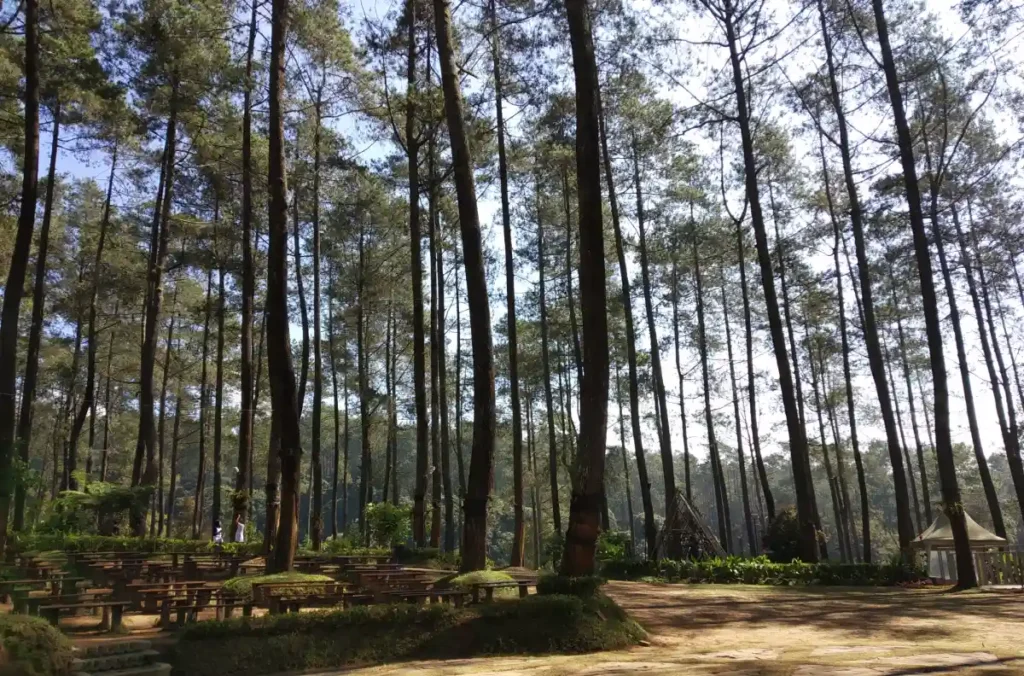 Tempat Wisata Bandung yang Sejuk