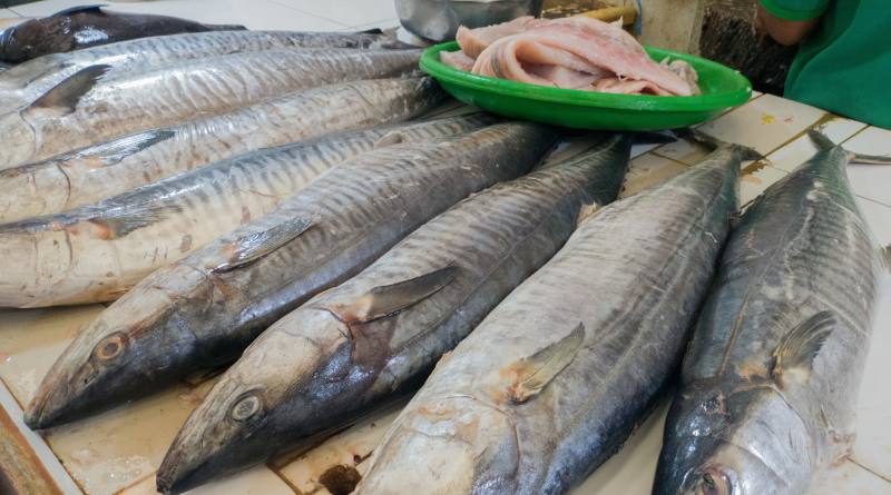 Bahan Membuat Amplang Ikan Bandeng