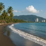 Fakta Pantai Padang dengan garis pantai yang luas, pasir hitam legam, dan latar belakang jajaran pohon kelapa serta laut biru.