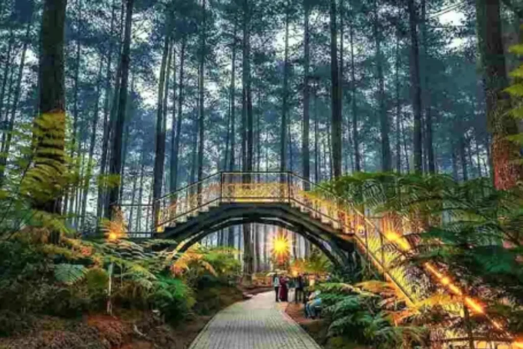 Sekelompok orang berjalan di atas tali pengaman di hutan lebat, dengan senyum ceria dan penuh semangat, menunjukkan kegembiraan dalam wisata outbound Bandung.