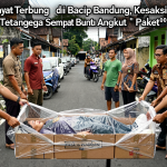 khrisna-gen-1788255292-ae9dca8124