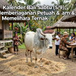 khrisna-gen-1788561574-427f15670d